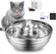 Fontaine à eau en acier inoxydable - Pour chats et chiens, 67 oz/2L, silencieuse et automatique, avec filtre