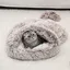 Sac de Couchage pour Chat Lit de Grotte pour Chat, Sac de Couchage Lavable pour Animal de Compagnie