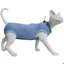 Combinaison post-opératoire chat – vêtement chirurgie abdominale – pyjama récupération