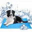 Nobleza - Tapis Rafraichissant Chien Chat, Tapis Refroidissant pour Chien, L,90x50CM