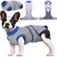 Combinaison de récupération post-opératoire pour chiens pour chiens femelles et mâles combinaison de récupération post-opératoire