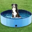 Piscine pour chiens de petite et grande taille piscine pliable pour chiens antidérapante piscine pour chiens de 80 x 20 cm