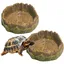 2 bols eau reptiles tortues terrestres amphibiens lézards grenouilles geckos
