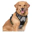 Harnais Chien L Arnais Gris Anti Traction Réfléchissant Gilet Réglable pour Chien Grand Taille, Attache Devant Crochet de Laisse