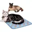 Tapis de Refroidissement Chien Chat Coussin Rafraîchissant Doux et Confortable pour Animaux Domestiques et Maison