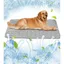 Pet Summer Ice Silk Cool Sleeping Pad Pet Sofa Cushion Floor Cushion Dog Ice Cushion Spring and Summer Cat Cooling Pad