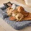 Lit de Chien pour Humains et Animaux de Compagnie-VEVOR-1820 x 1220 x 254 mm-avec Housse en Velours PV Lavable-Gris