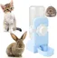 Distributeur Eau Pour Lapins Abreuvoir Suspendu Pour Cochons D'Inde Hamsters Rats - Bleu - 500 Ml