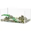 Aquarium pour Tortues Terrarium avec Plateforme et Rampe Vue Panoramique 360° Verre Trempé 60x35x28 cm Blanc