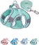 Harnais pour chien de petite et moyenne taille sans traction, ensemble harnais et laisse pour chiot, harnais (vert, S)