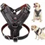 Harnais pour chien en cuir vritable durable rglable pour grands chiens Contrle rapide avec poigne Accessoires pour animaux PZCC