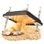 Plaque Electrique pour Poussins 10*10in, Lampe Chauffante Poussin Plaque Chauffante Poussin 25 Réglable en Hauteur Couveuse