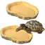 2 Pièces Gamelle Tortue Terrestre Abreuvoir Tortue Terrestre Bols à Eau pour Reptiles Abreuvoir Tortue Terrestre Convient Aux