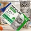 FRONTLINE Combo Chat 6 Pipettes - Anti Puces Tiques & Poux - Contre Larves & Oeufs - Elimine & Tue