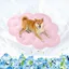 Tapis Rafraîchissant pour Chien 120x90 cm GrandQ-Max>04 Tapis Auto-RefroidissantDouble Face Frais & Chaud pour ÉtéLavable en