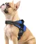 Harnais Chien Harnais Anti Traction pour Chien Réfléchissant Réglable Respirant Facile à Mettre avec Poignée Contrôle Bleu S