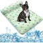Tapis auto-rafraîchissant pour chiens et chats – Coussin rafraîchissant activé par pression sans électricité petit format 60 x 40