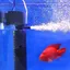Aquarium3 En 1 Purificateur d’eau d’aération silencieuse Pompe interne Submersible Aquarium Filtre Pompe à multicolore POMPE A AIR