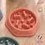 Gamelle anti glouton pour chien BCSK® | Gamelle chien chat animaux domestiques – favorise la digestion – Anti vomissement - Rose