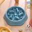 Gamelle anti glouton pour chien BCSK® | Gamelle chien chat animaux domestiques – favorise la digestion – Anti vomissement - Bleu