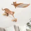 Lit ensemble de lit mural pour chat avec griffoir offrant un endroit parfait et confortable pour votre ami à quatre pattes