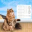 Filet protection chat balcon 10x3m Sans perçage Accessoires inclus