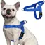 rabbitgoo Harnais Chien Anti Traction harnais pour petit chien Facile à Mettre Harnais Réglable avec Attache Devant M Bleu