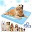 Tapis rafraîchissant pour chien XL - Tapis rafraîchissant pour chiens et chats - Lavable et idéal pour lété - Bleu