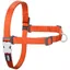 Harnais pour Chien - RED DINGO - Orange - Taille S - 36-50 cm - Multicolore