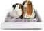 Bac litire pour cochon dInde avec grille toilettes pour petits animaux lapin et furet Animalerie < Chat < Litière et