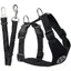 Harnais pour chien avec ceinture de sécurité pour voiture (noir, M)
