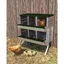 Pondoir pour Poules Nichoirs sur pied 6 cases avec perchoir antirouille et œufs factices. Parfait pour poulailler extérieur-Vert