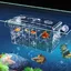 Boîte dincubation pour aquarium à double paroi transparente pour isoler et protéger les petits poissons crevettes et guppys