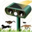 Répulsif pour chats dextérieur avec détecteur de mouvement adapté aux chats chiens souris et animaux sauvages.