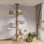 Arbre à Chat tendeur de Plafond Capsule Spatiale hamac pour Chat entièrement enveloppé Corde en sisal (240~250 cm 265-275 c