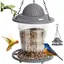 Mangeoire à oiseaux - OKUMGGYJ - Lanterne extérieure - Étanche - 520 ml - Gris