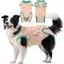 Combinaison de convalescence pour chien Vêtements pour chien Alternative souple à la collerette Vêtements pour animaux Vêtements de