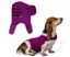Veste anti-anxiété pour chien chemise respirante pour chien gilet anti-anxiété pour chien gilet anti-anxiété pour chiot (rose
