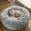Rond en Peluche lit pour Animal panier chat Domestique Matelas Chaud Chien Lit Litière pour Chat Convient pour Chiots Chaton Pet