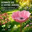 Bain dOiseaux Extérieur Rose Vasque Jardin sur Pied Abreuvoir et Mangeoire Oiseaux Décoration Terrasse Jardin