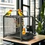 Cage Oiseau Perroquet Portable - BingoPaw - Volière Oiseaux Intérieur avec Corde de Jouet et Fond Amovible 58x46x56cm
