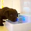 Fontaine à eau automatique - YYV - 18 L - Pour chien et chat - Filtre à charbon - LED