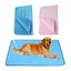 Tapis rafraîchissant pour chien tapis dété pour animaux de compagnie avec glace lavable et portable