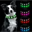Collier Lumineux pour Chiens Rechargeable et tanche Ajustable pour Tous les Chiens VHV