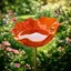 Bain dOiseaux Extérieur Orange Vasque Jardin sur Pied Abreuvoir Oiseaux Mangeoire Décorative Terrasse Jardin