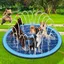 Piscine Pour Chien Avec ArroseurPiscine Pour Grands Chiens 170CmTapis DArrosage Pour ChienPataugeoire Pour ChienTapis D[IN91]