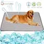 Tapis Rafraîchissant Chien Gris 50x40cm  Taille S  Coussin Glace Été Petit Chien Chat