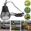 Lampe chauffante à intensité variable pour tortues, lézards et serpents