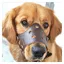 Muselière en cuir pour chien anti-aboiement adaptée aux chiens de grande petite et moyenne tailleXL (35— 60kg)