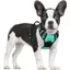 Harnais Chien Anti Traction Mente Verte XS Harnais Chien avec Poignée Facile à Mettre Gilet Réglable Réfléchissant pour Petit Chien